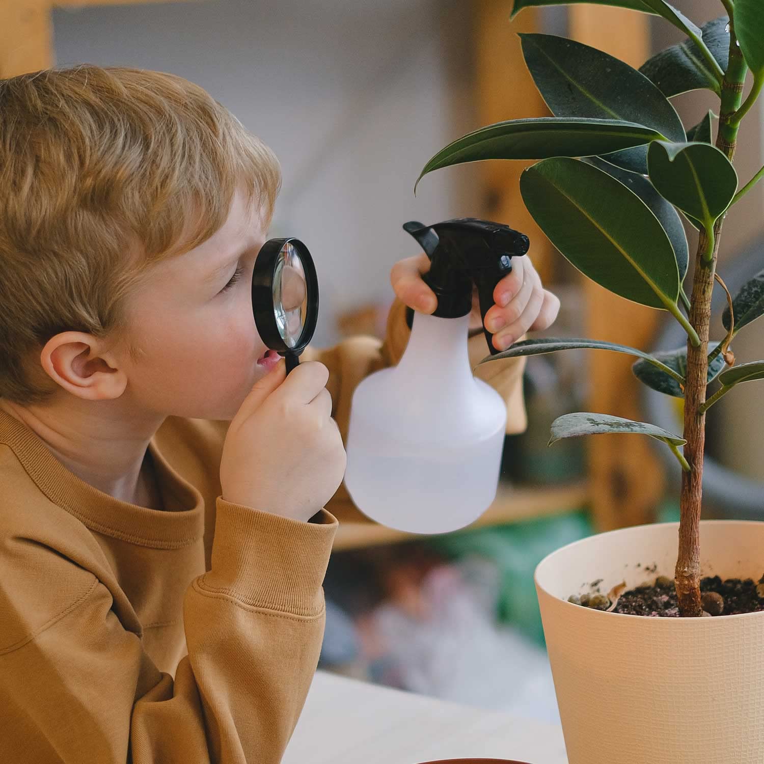 KEYRI 9er Set Mini-Lupen - Bunte Kunststoff-Lupen Für Senioren, Lesen & Hobby