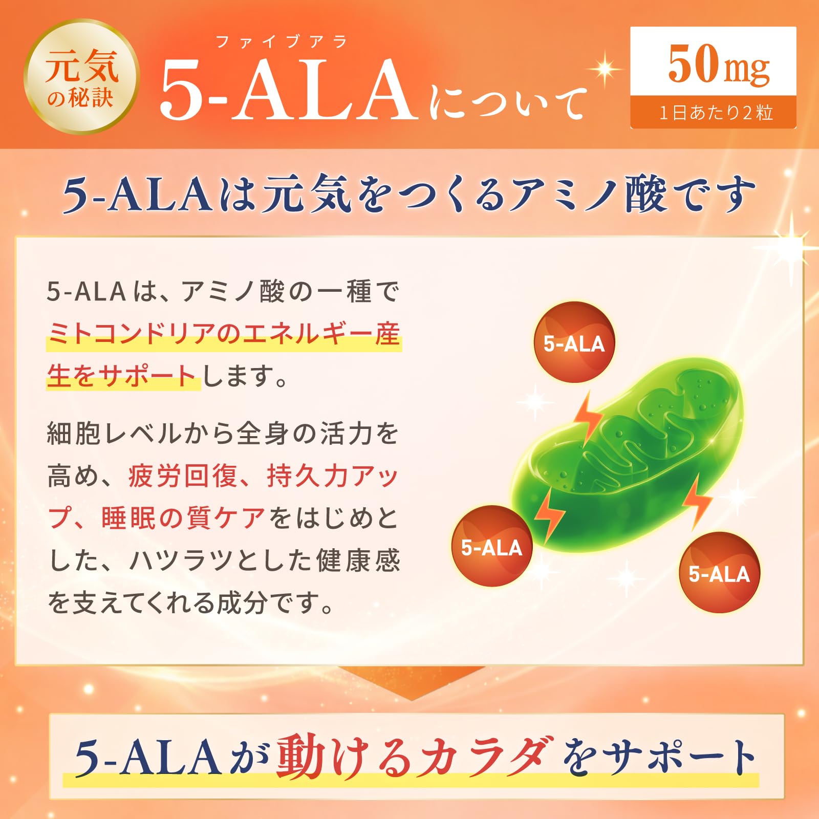 Amazon | NMN サプリ 5-ALA CoQ10 配合 現役医師監修 千年謳歌
