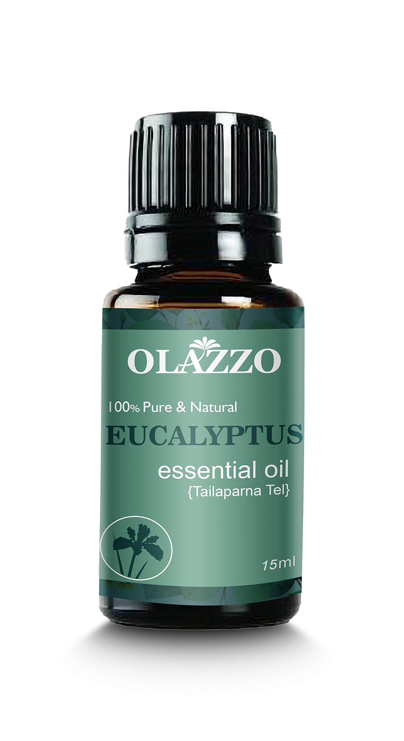 Buy Olazzo Topquality Eucalyptus essential oil (Nilgiri oil ) for