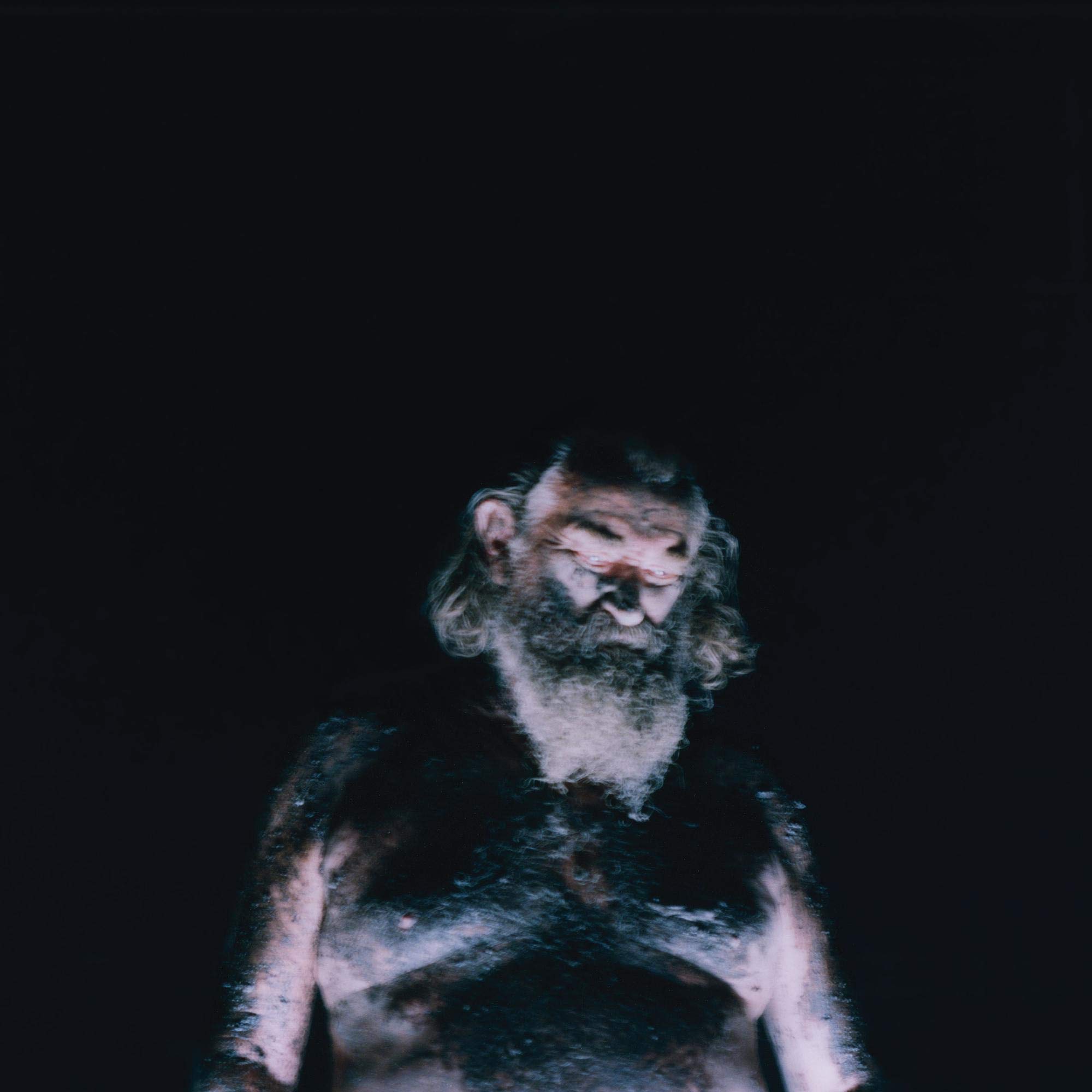 The Great Dismal [VINYL]