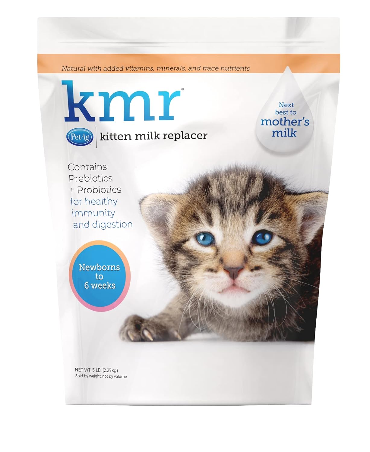 kitten milk replacement powder