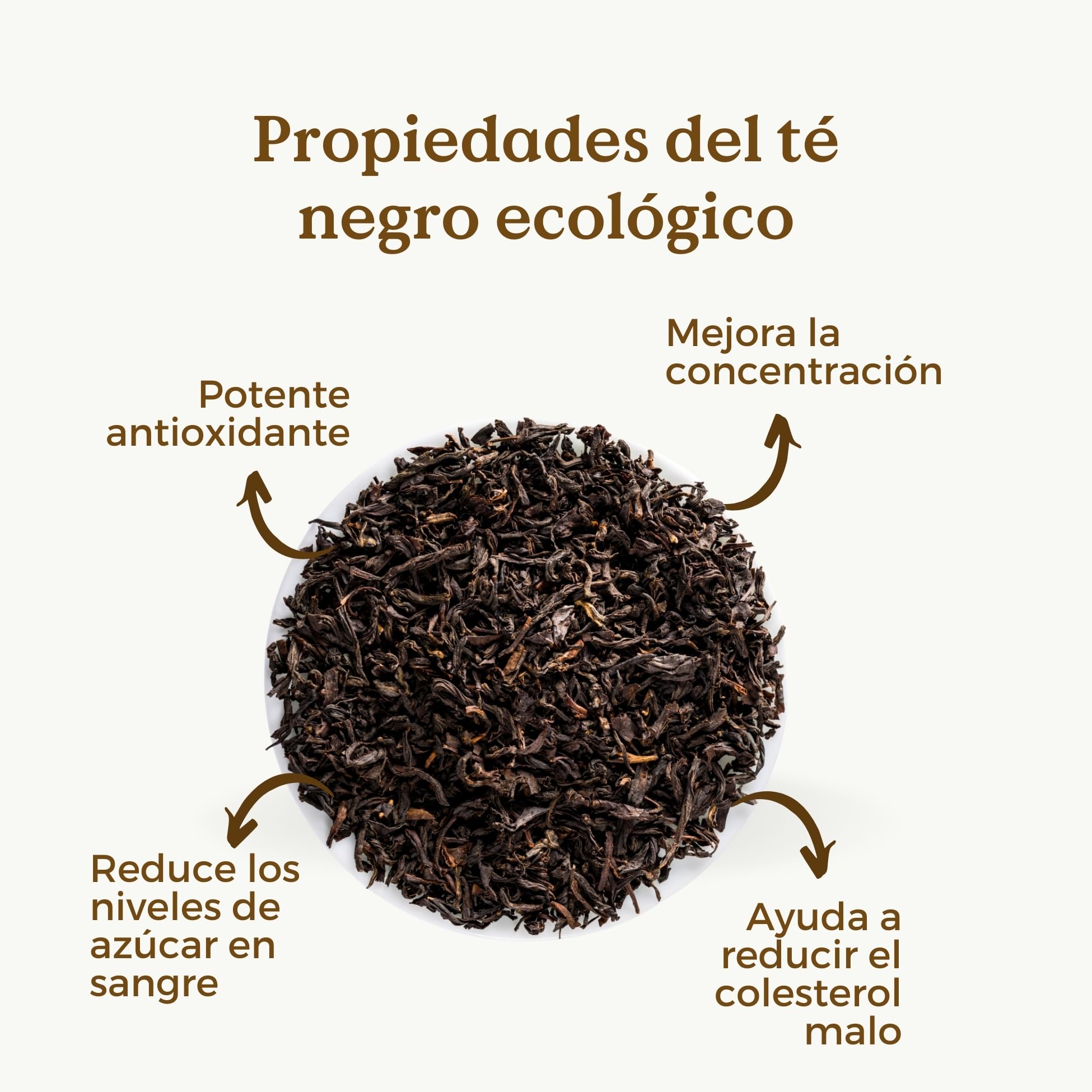 LAPSANG SOUCHONG Té Negro Ecológico 200g (+100 Tazas) | Té Negro Orgánico Ahumado Natural Sobre Brasas de Pino REPLANTEA