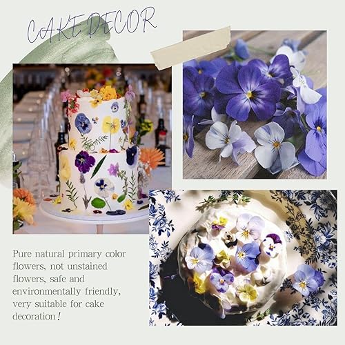 Vista 20 de 48 piezas de flores secas prensadas naturales para decoración de pasteles, flores secas reales para la fabricación de joyas de resina, manualidades