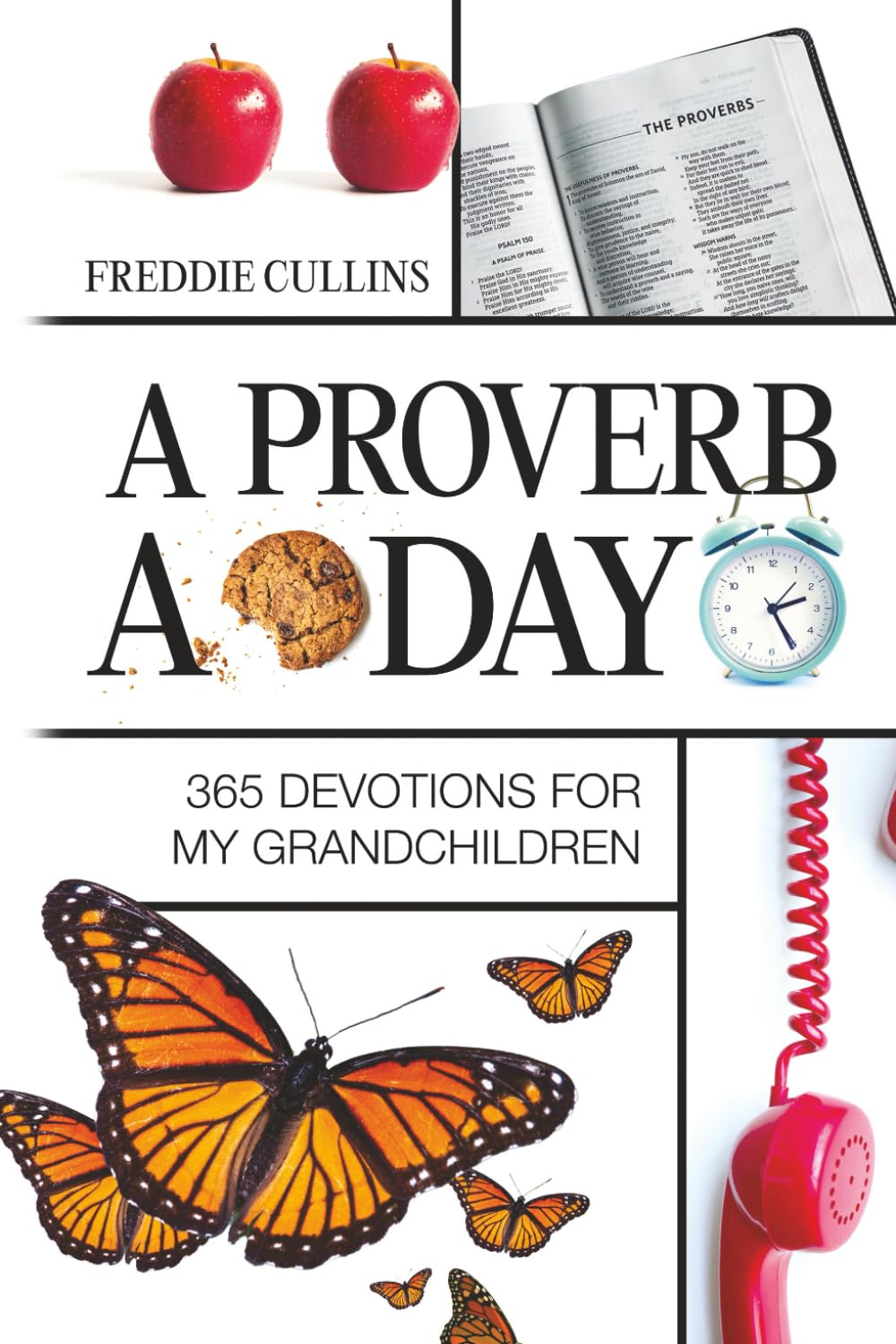 A Proverb A Day: 365 Devotions for My Grandchildren