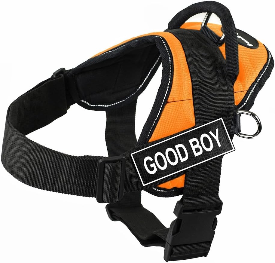 Dean & Tyler DT Fun "Good Boy" Harness with Reflective Trim, X-Small, Orange
