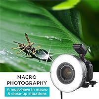 Vista 5 de Flashpoint Cabezal de flash de anillo R200 para flash de bolsillo eVOLV200 y eVOLV200 Pro, anillo de luz ultra potente de 200 vatios con lámpara