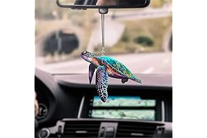 Adorable Turtle Car Accessory