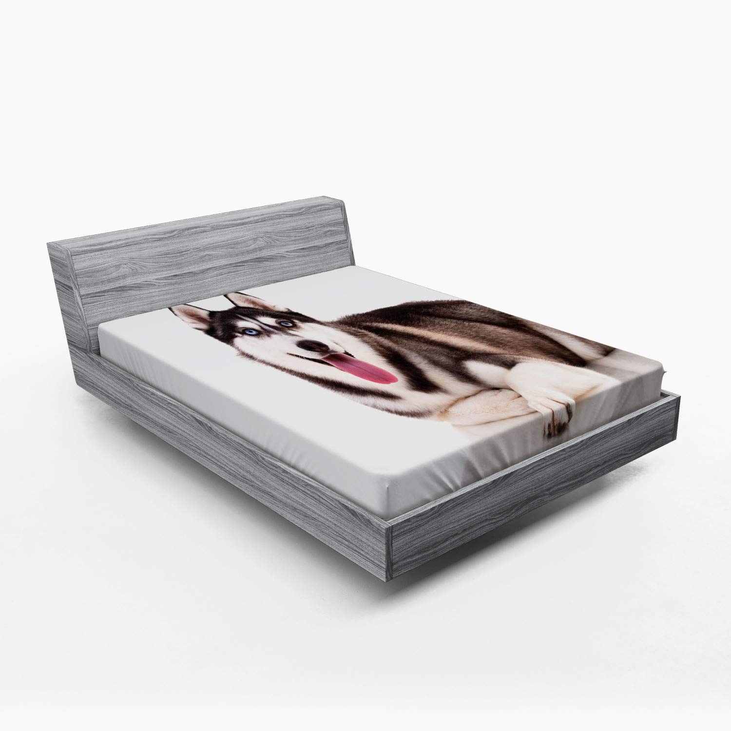 ABAKUHAUS Alaskan Malamute Lenzuolo con Angoli, Divertente Siberiano, Morbido Tessuto Decorativo da Letto Tasca Elastica a Tutto Tondo, 120 x 190 cm, Marrone Crema Bianco