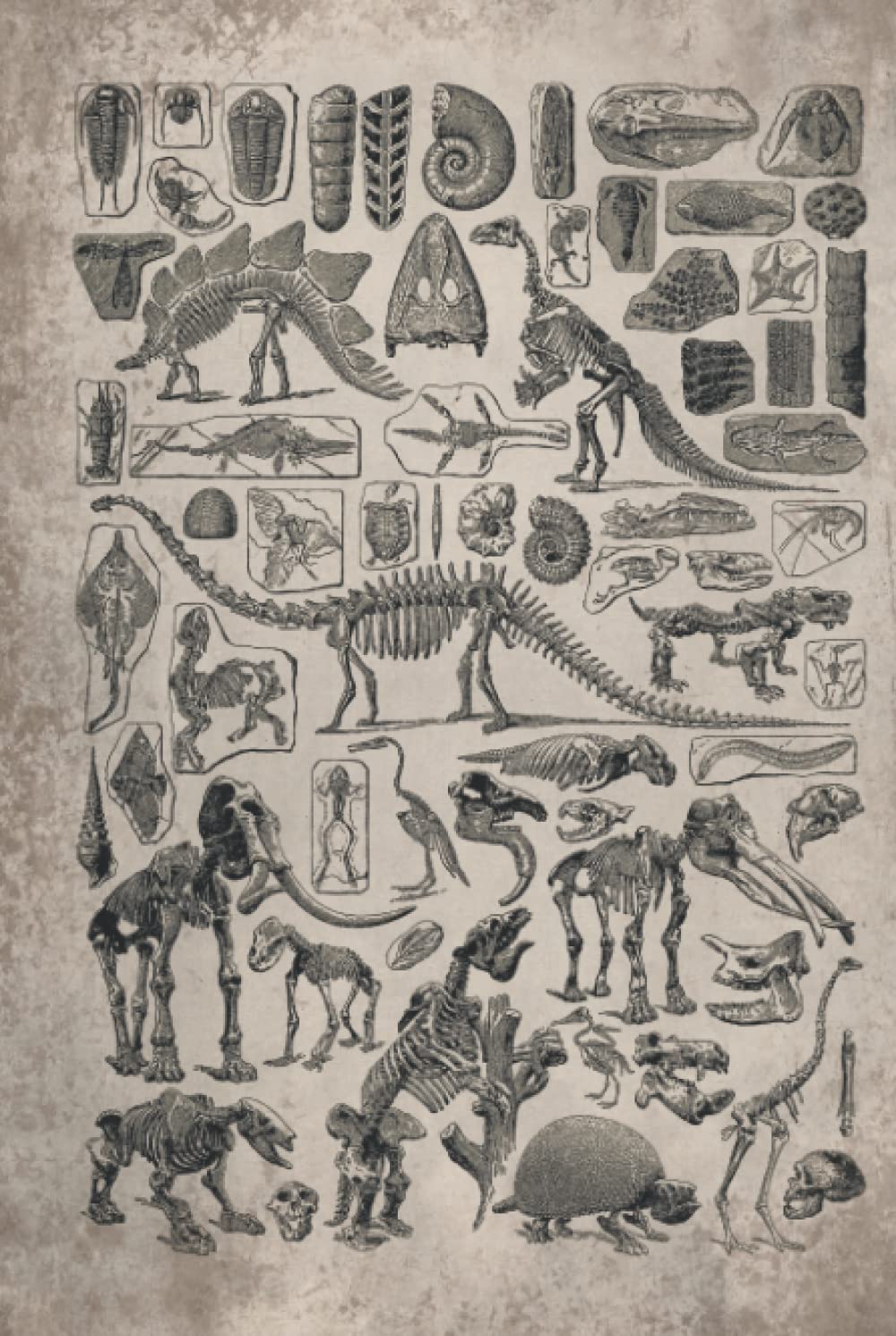 Paleontology Notebook Hardcover: Vintage paleontology fossil print included Dinosaurs, Blank Lined notebook, Planner Journal, To do list notebook, Daily Organizer, 6 x 9 inch, 110 pages