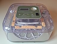 Review Image by A. Newman