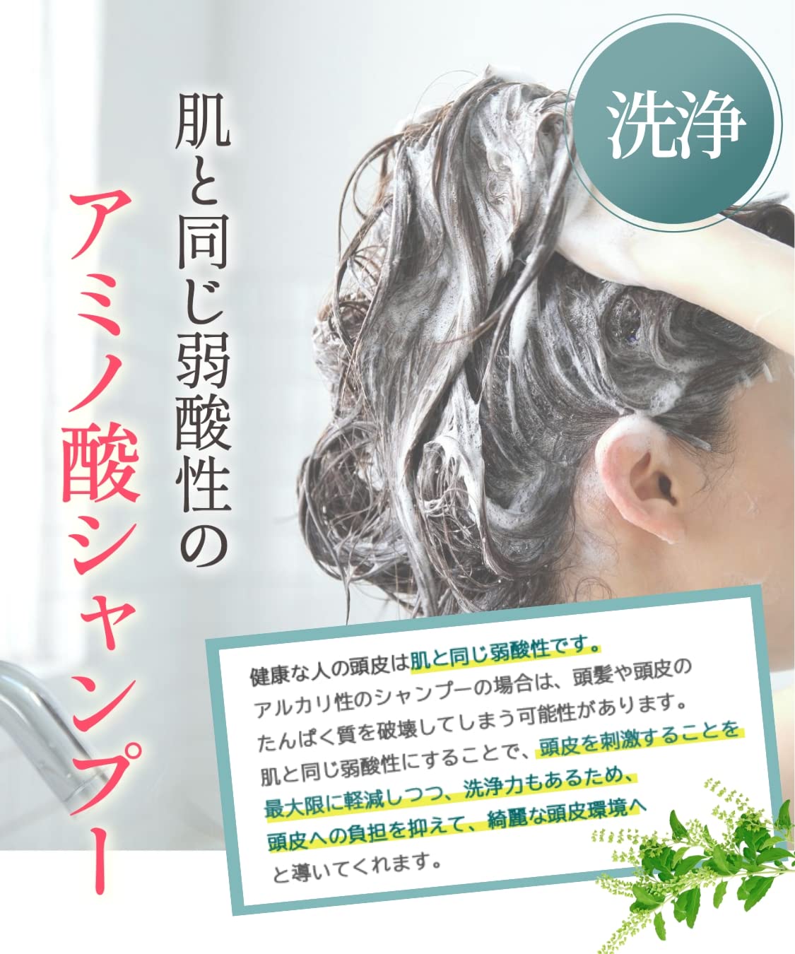 Amazon | シャンプー & コンディショナー セット 400ml&400ml 無添加 