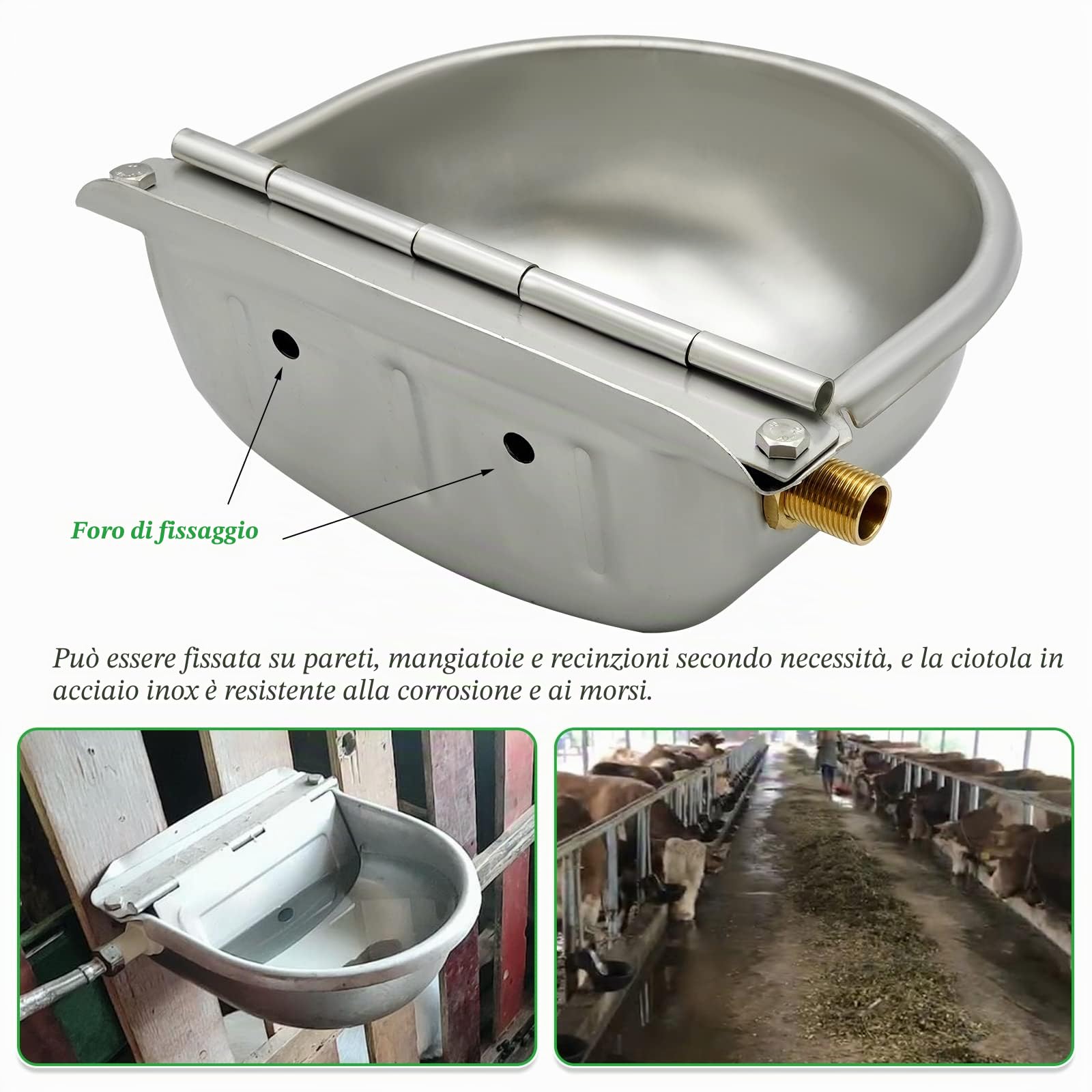 Abbeveratoio automatico in acciaio inox con valvola galleggiante per cani, cavalli, capre, pecore
