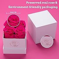 Vista 2 de DuHouse 4 unidades de rosas preservadas de flores eternas preservadas para regalo de San Valentín, cumpleaños, Acción de Gracias (rosa intenso)