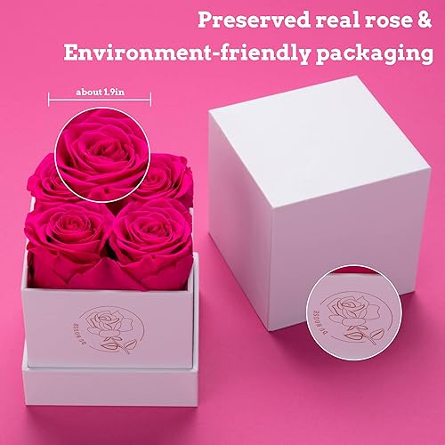 Miniatura 2 de DuHouse 4 unidades de rosas preservadas de flores eternas preservadas para regalo de San Valentín, cumpleaños, Acción de Gracias (rosa intenso)
