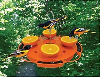 Songbird Essentials Ultimate Oriole Feeder