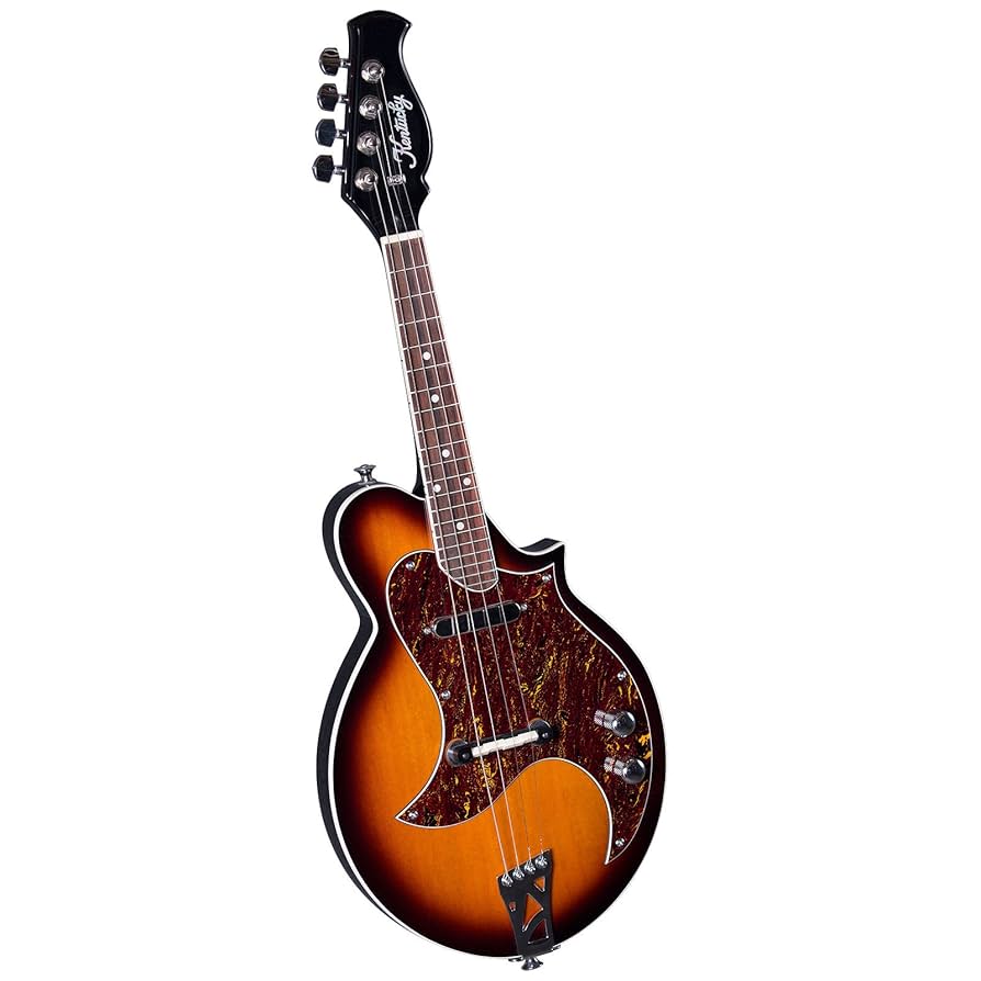 Amazon.com: Kentucky 4 String Mandolin, Right (KM-300E