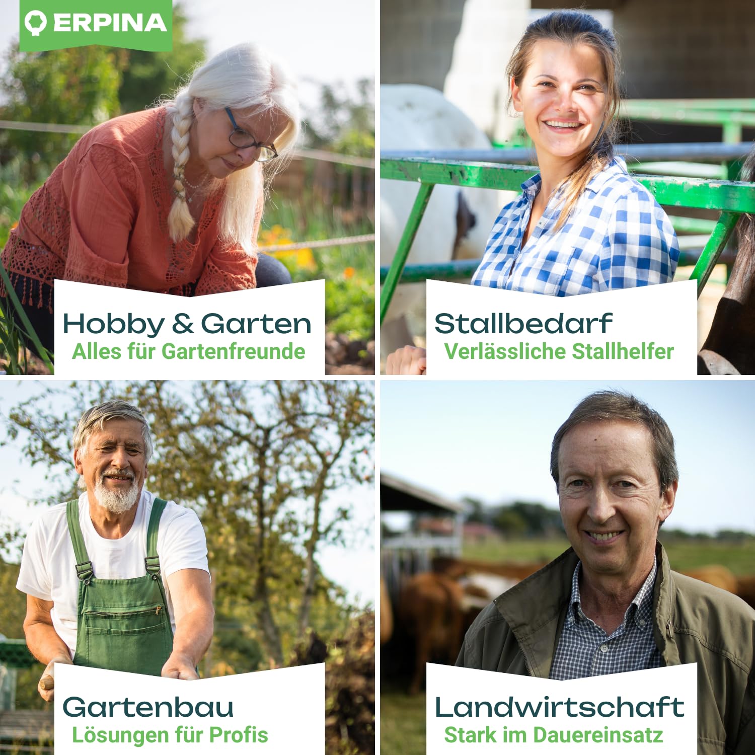 5er Pack Laubbesen 40cm breit + 160cm Stiel robuste Harke, Rechen mit Kunststoffkopf, Profiqualität für effizientes Laubentfernen ideal für Gartenbesitzer, Landwirte & Tierhalter Gartenrechen