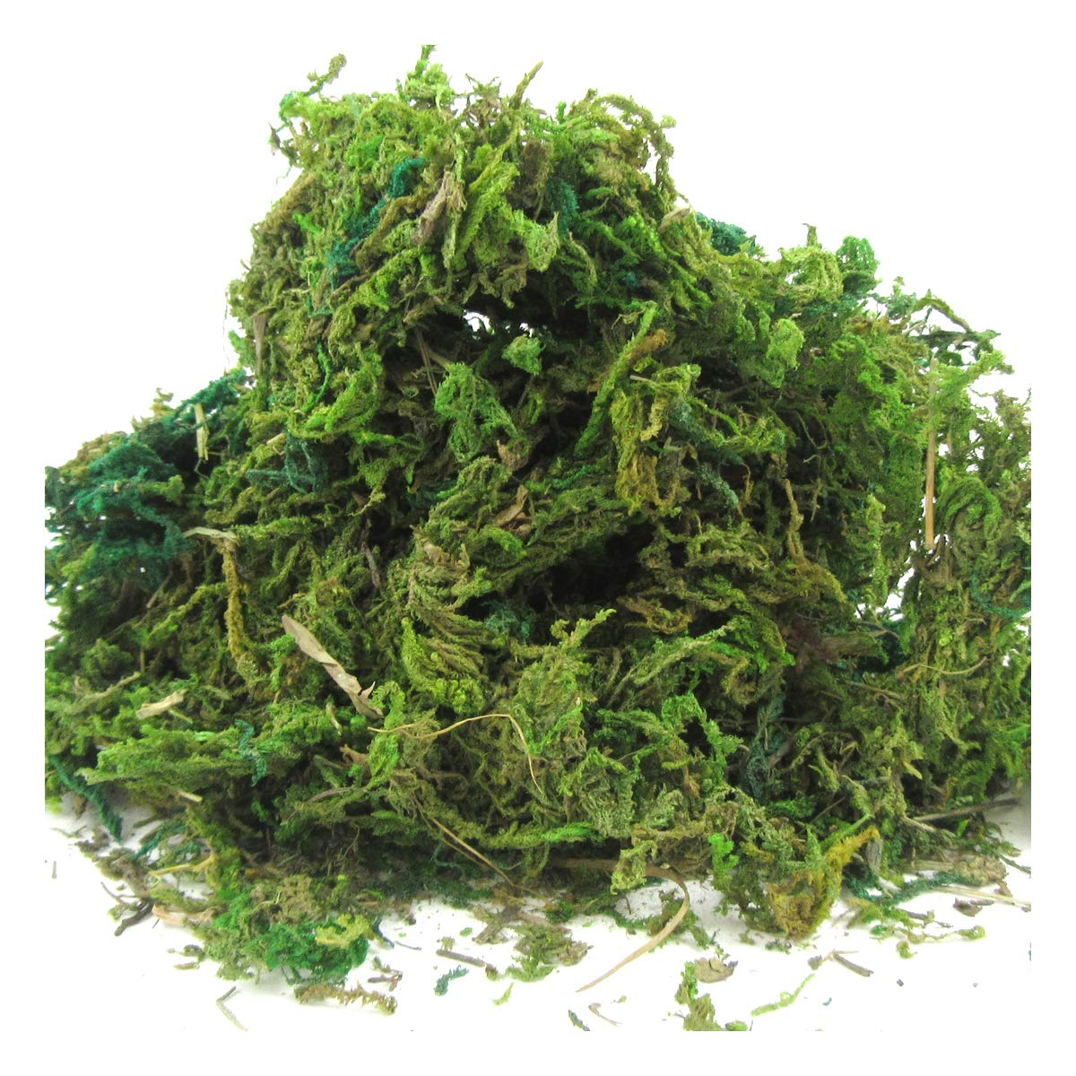 Laurashomepage Green Dried Fake Moss Arts & Crafts Flowers Potted Plants Artificial Terrariums (10G)