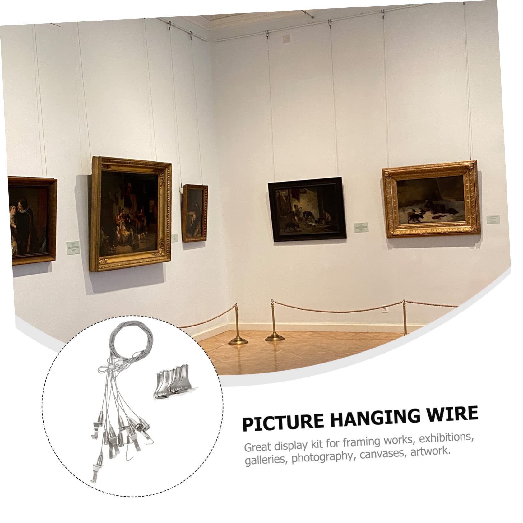 Angoily Kit de Ganchos Ajustables para Colgar Cuadros Cable de Acero Inoxidable Plata, Capacidad 30kg, Adecuado para Sistemas de Exhibición y Fotografía, Paquete de 10 Piezas