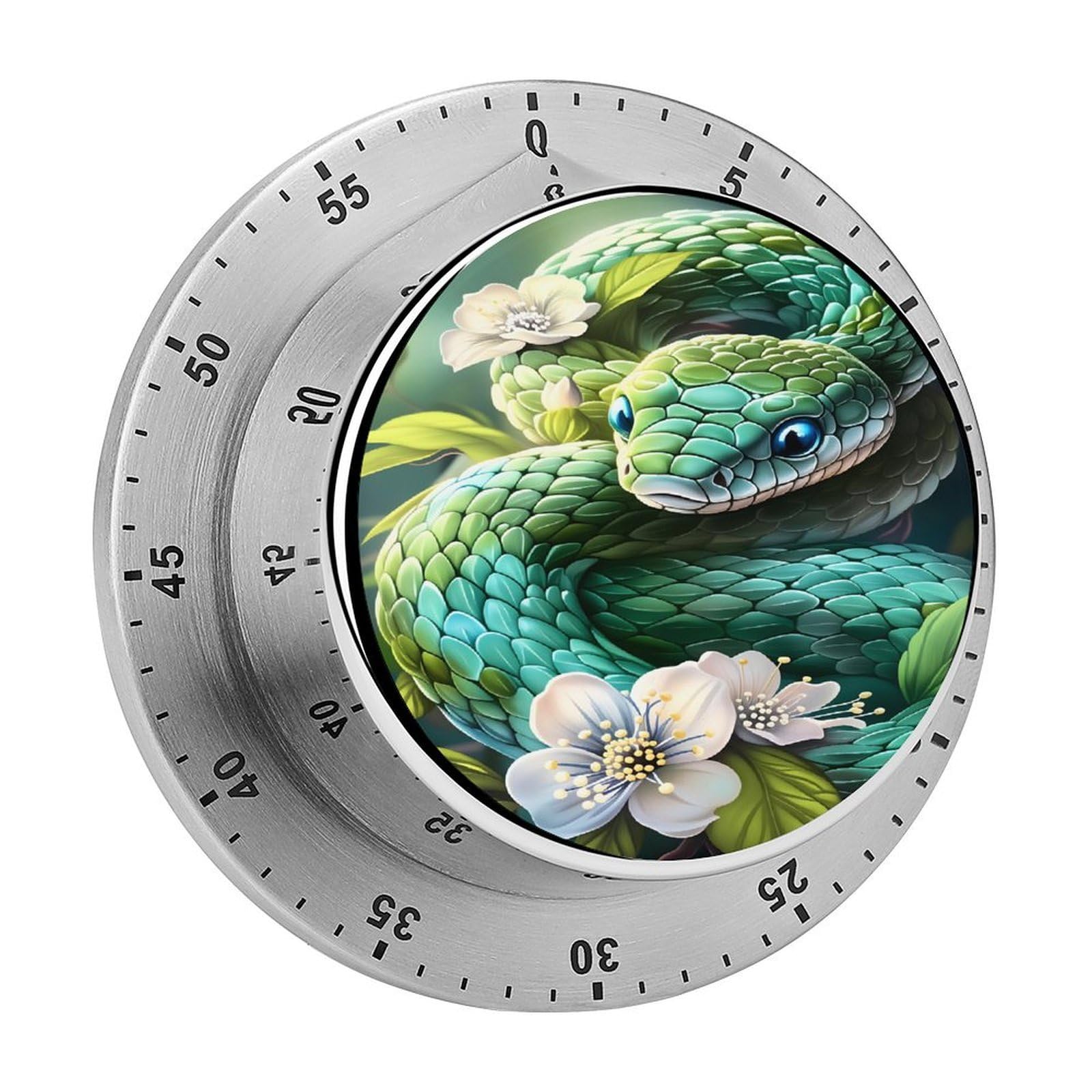 Green Snake 60 Minute Wind Up Timer,Visual Mechanical Magnetic Timer with Loud Alarm for Kitchen
