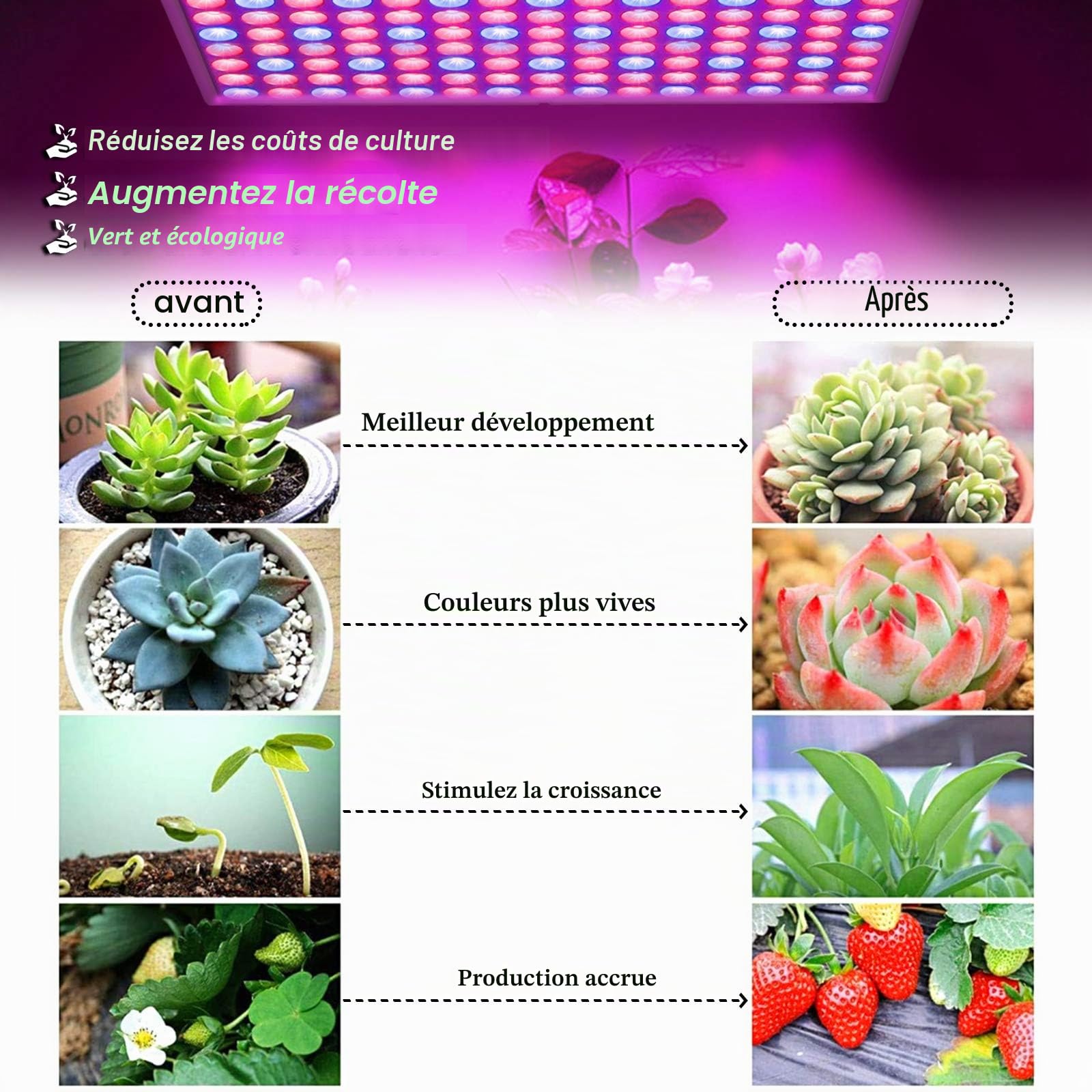 UISEBRT 45W Lampe de croissance 225 Leds Éclairage pour plantes d'intérieur,Fleurs et Légumes, Horticole Lampe à Spectre Complet Rouge/Bleu Grow Light (45W)