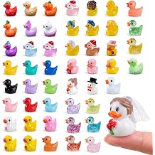 Zerobe 50Pcs Mini Resin Ducks Tiny Figurine Fairy Garden Accessories