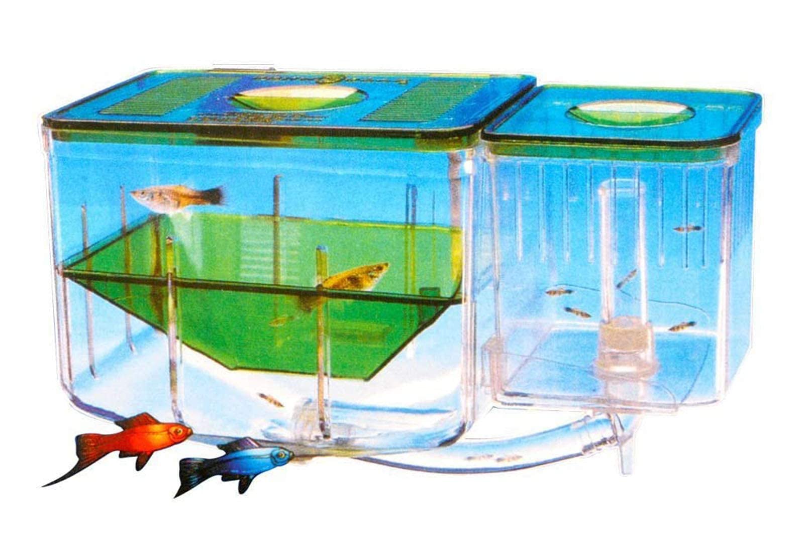 Kunststoff Zucht Isolation Box, Uotyle Multifunktionale Zucht Tanks Schwimmende Laichkasten Ablaichkasten