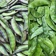 Combo Of 2 Types Sem Phali (12 + 13) Seeds seeds, Lima Beans Seeds (25 Seeds) Seeds For planting And Home And Home gardening