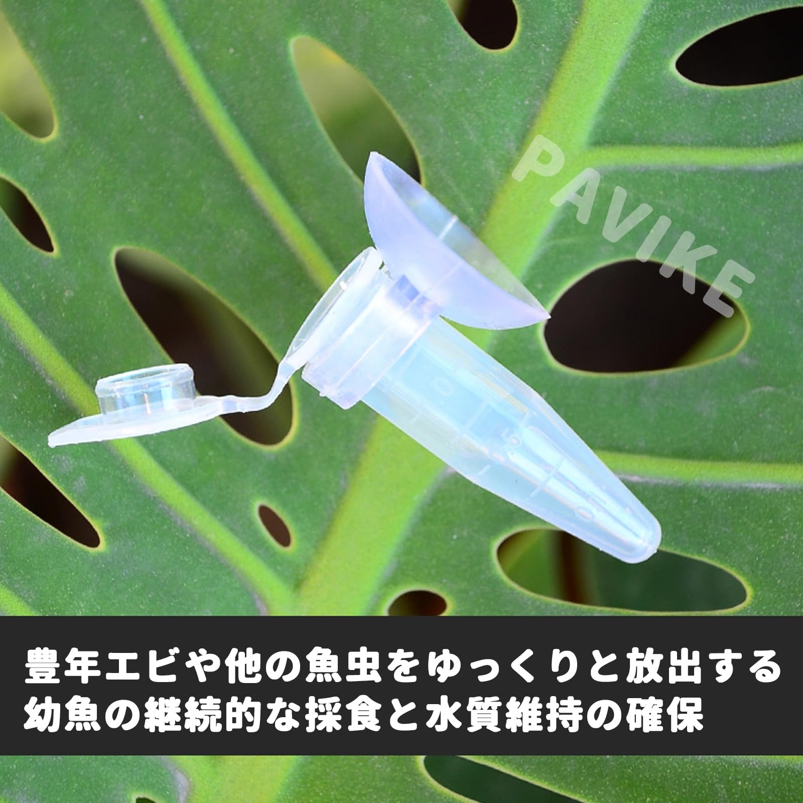 Amazon | PAVIKE 水槽 フィーダーカップ 給餌カップ 水槽 吸盤