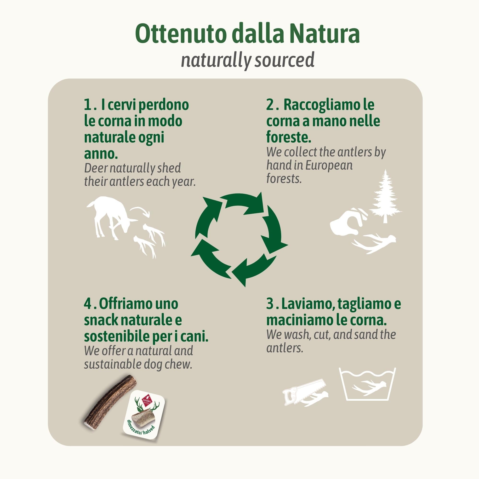 ChronoBalance-XXL Corno di Cervo per Cani, Confezione da 2, Dimezzato, 100% Naturale, Osso di Cervo, Cura Dentale, Giocattolo per Cani, Senza Sostanze Chimiche, Lunga Durata