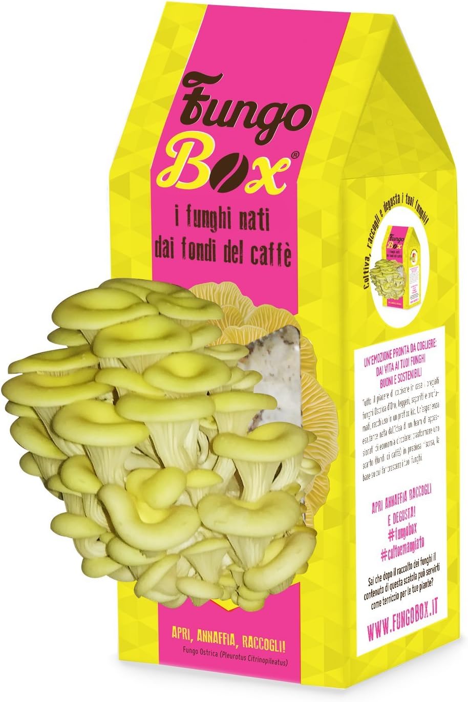 FungoBox: the Kit for Growing Homemade Mushroom Oysters good and sustainable by the Coffee Ground - for Women - Gift Idea - Mother's Day - Gifts for her - Women's Day (Ellow and Pink)