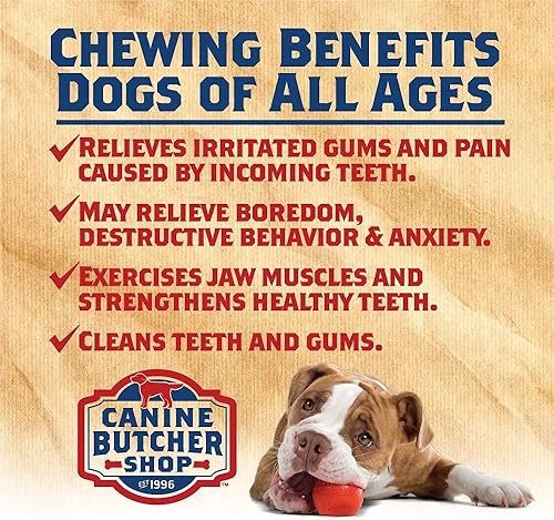 Miniatura 7 de Canine Butcher Shop Orejas de cerdo grandes criadas y fabricadas en Estados Unidos para perros, paquete de 30 unidades, masticables y golosinas para