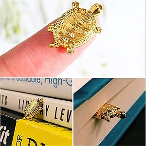 Amazon.com: sknsalfew Money Turtle, 10 Pcs Feng Shui Golden Money