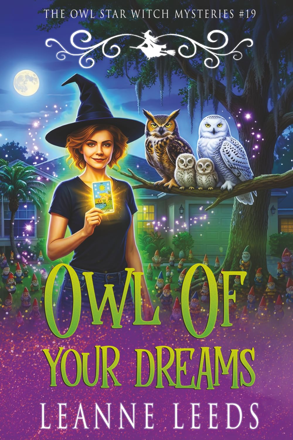 Owl of Your Dreams: 19 (The Owl Star Witch Mysteries)