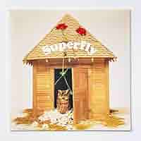 貴重レア 非売品 レコード プロモ盤 入手難 Superfly 恋する瞳は美しい Superfly「恋する瞳は美しい／やさしい気持ちで」 | Warner