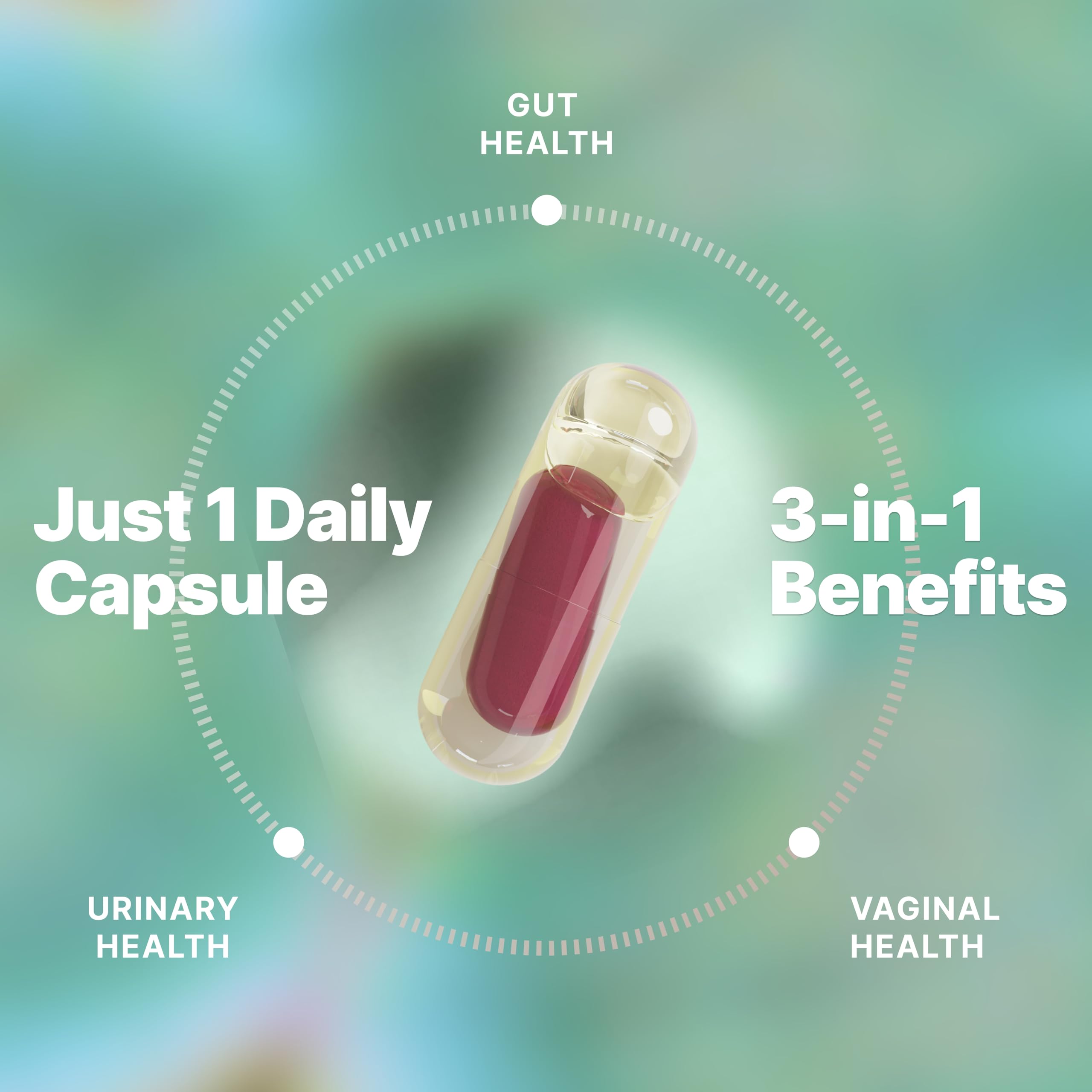 Evvy Women's 3-in-1 Probiotic Gut, Urinary & Vaginal Health | 30 Day Supply — Amazon image 3