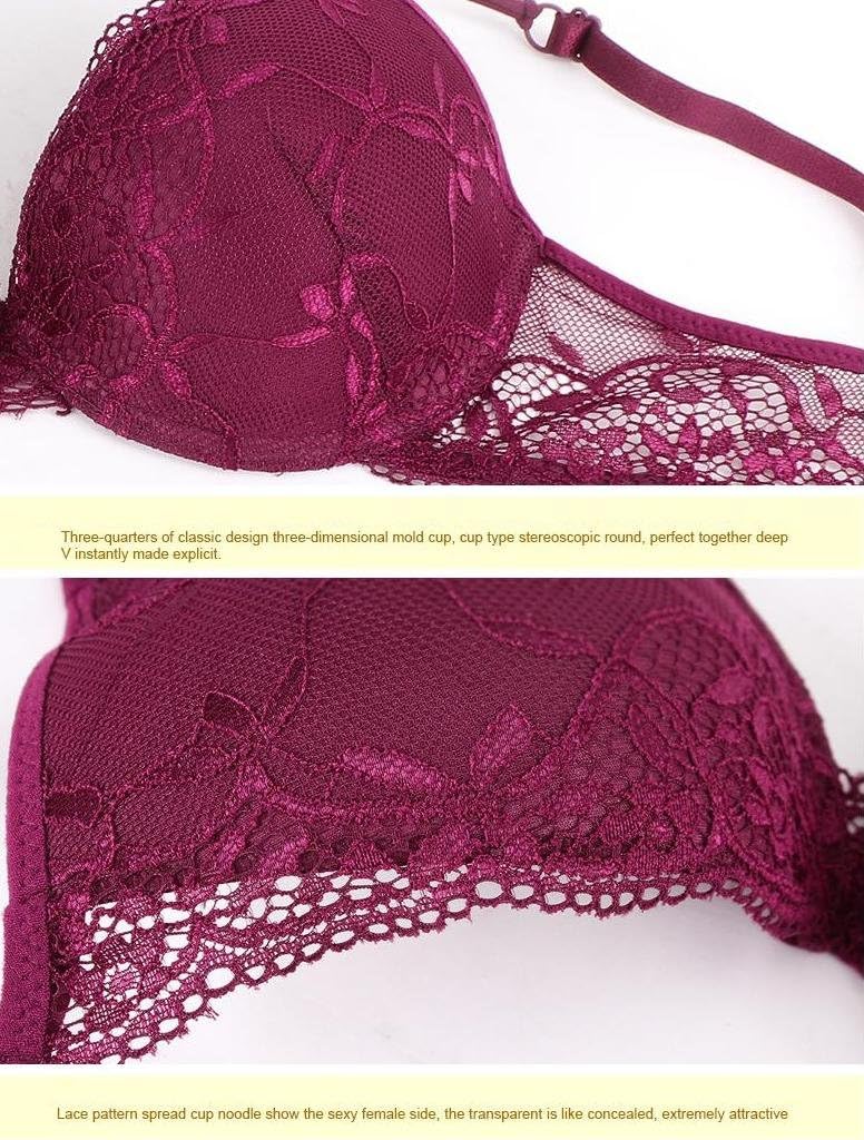 Women's Lumiere Lace Push Up Embroidery Bras Set Lace Lingerie Bra and Panties