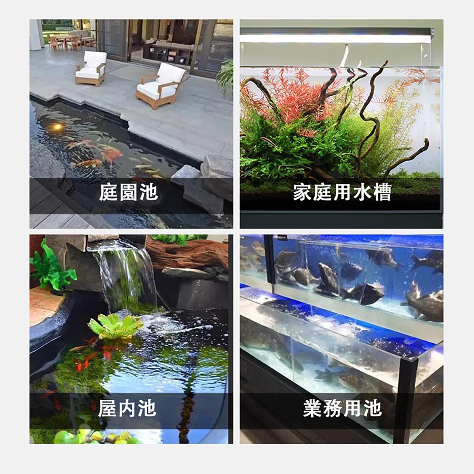 Amazon | FWYTT 水槽 フィルター ろ過装置 上部フィルター 周转箱 魚