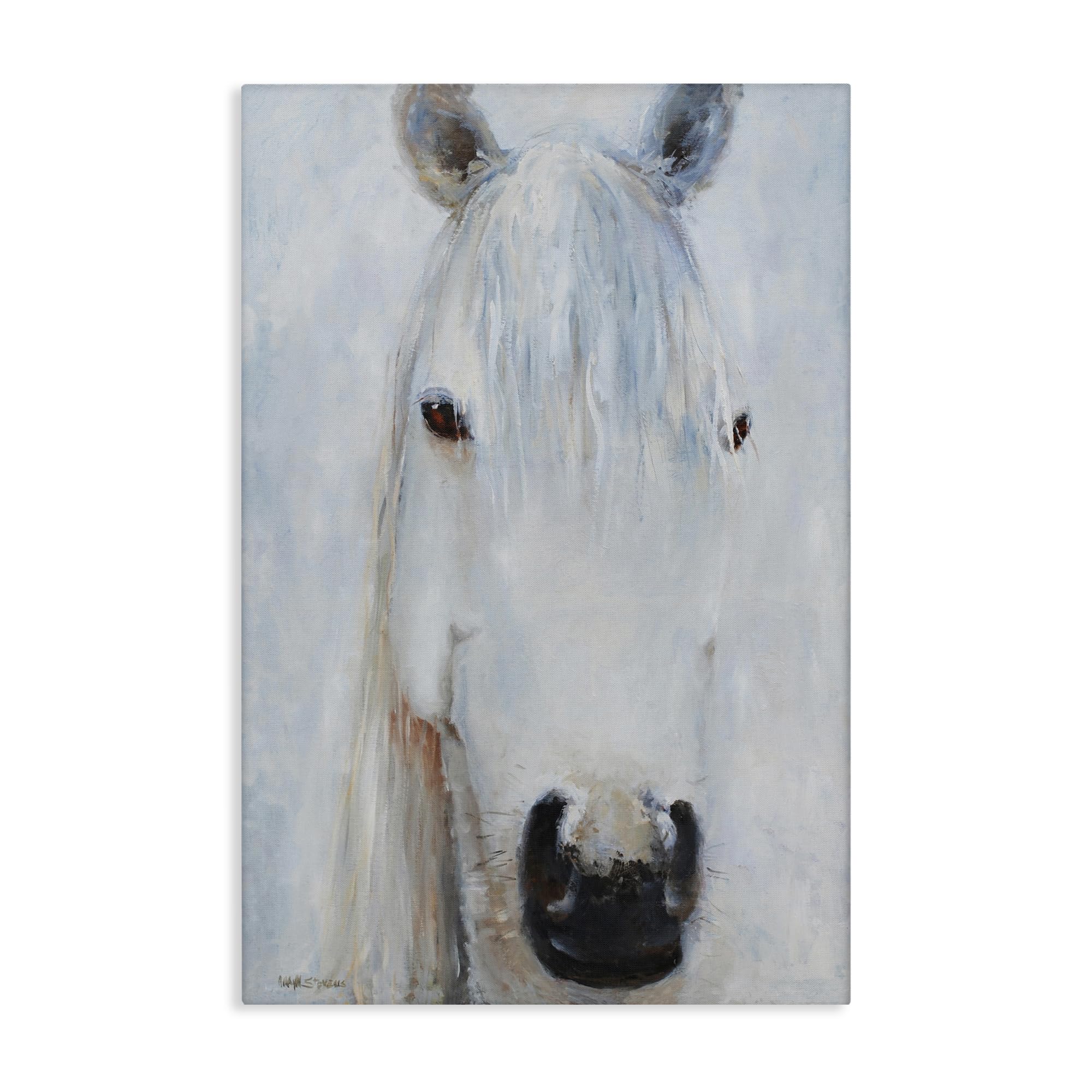 Stupell Industries 'Pure White Horse Portrait', Canvas Art, 16 x 24 Inches, Easy to Hang and Sturdy, Made in USA, by Jadei Graphics