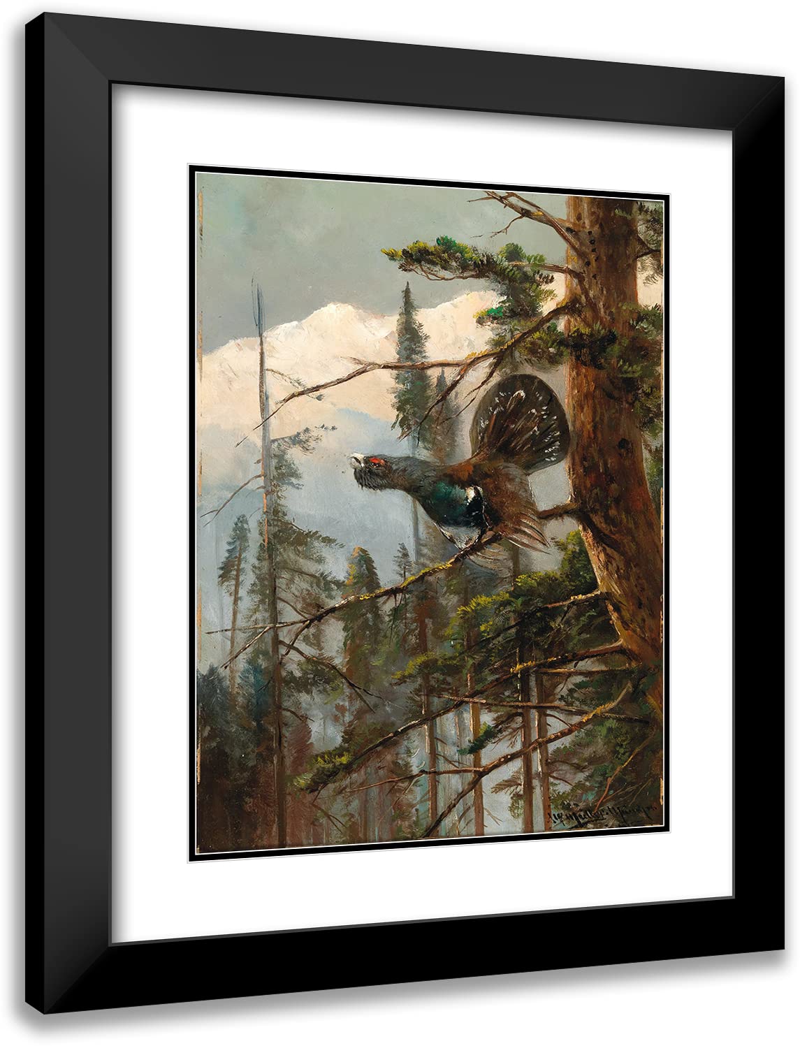 ArtDirect Moritz Müller 14x18 Black Modern Frame and Double Matted Museum Art Print Titled - Auerhahn