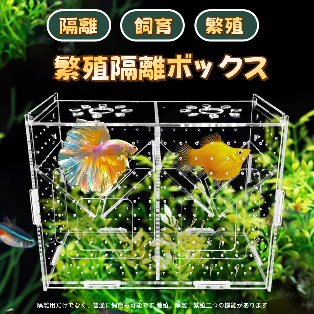 温室・飼育ケース Rik 楽天市場】Reekey 40x40x60cm 昆虫ケージ 通気性 ネット 繁殖