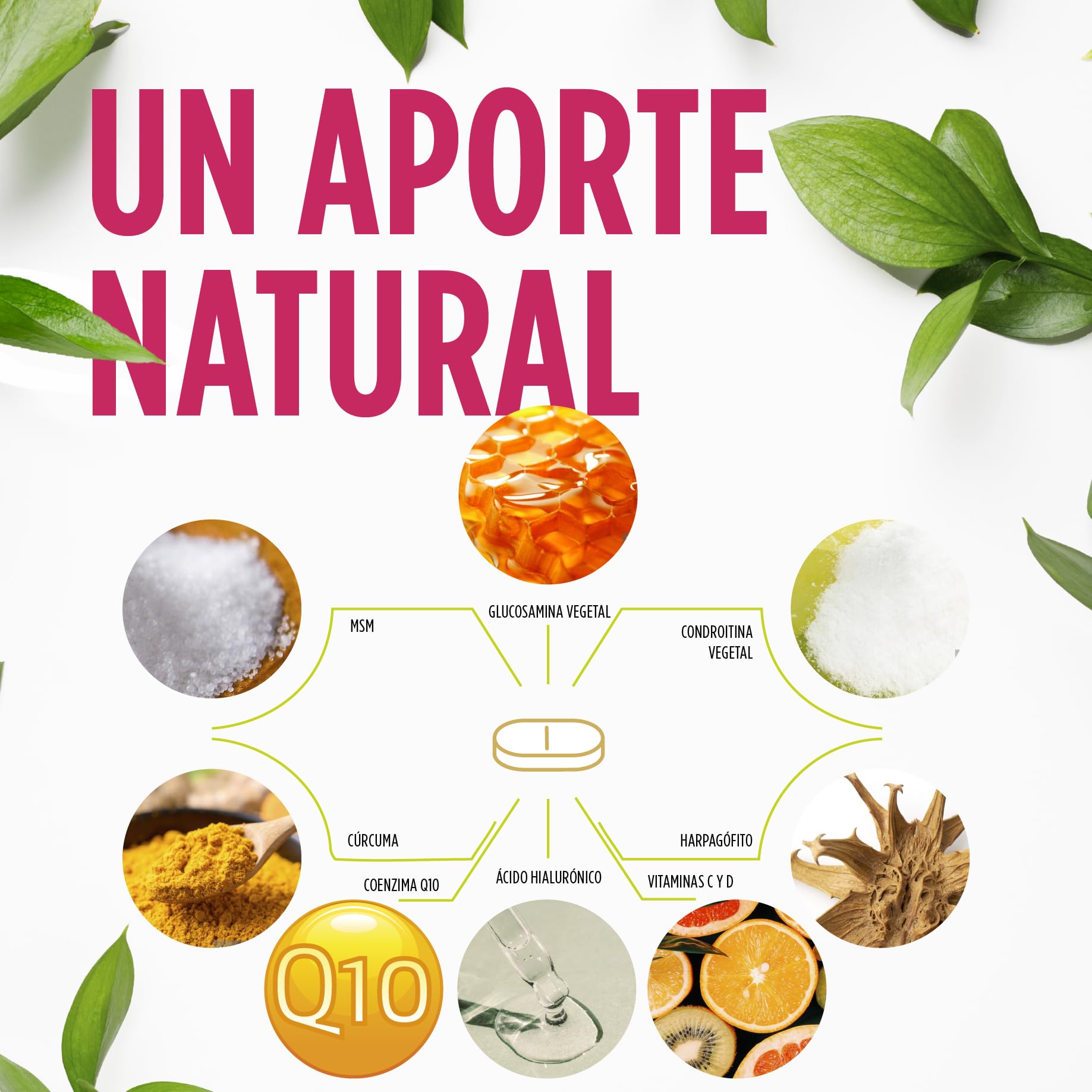 REGENDOL ARTICULACIONES VEGANO con Glucosamina y Condroitina - Antiinflamatorio Natural para Articulaciónes, Huesos, Musculos - Con Vitamina C y D, Q10, MSM, Acido Hialuronico y Curcuma | ELADIET