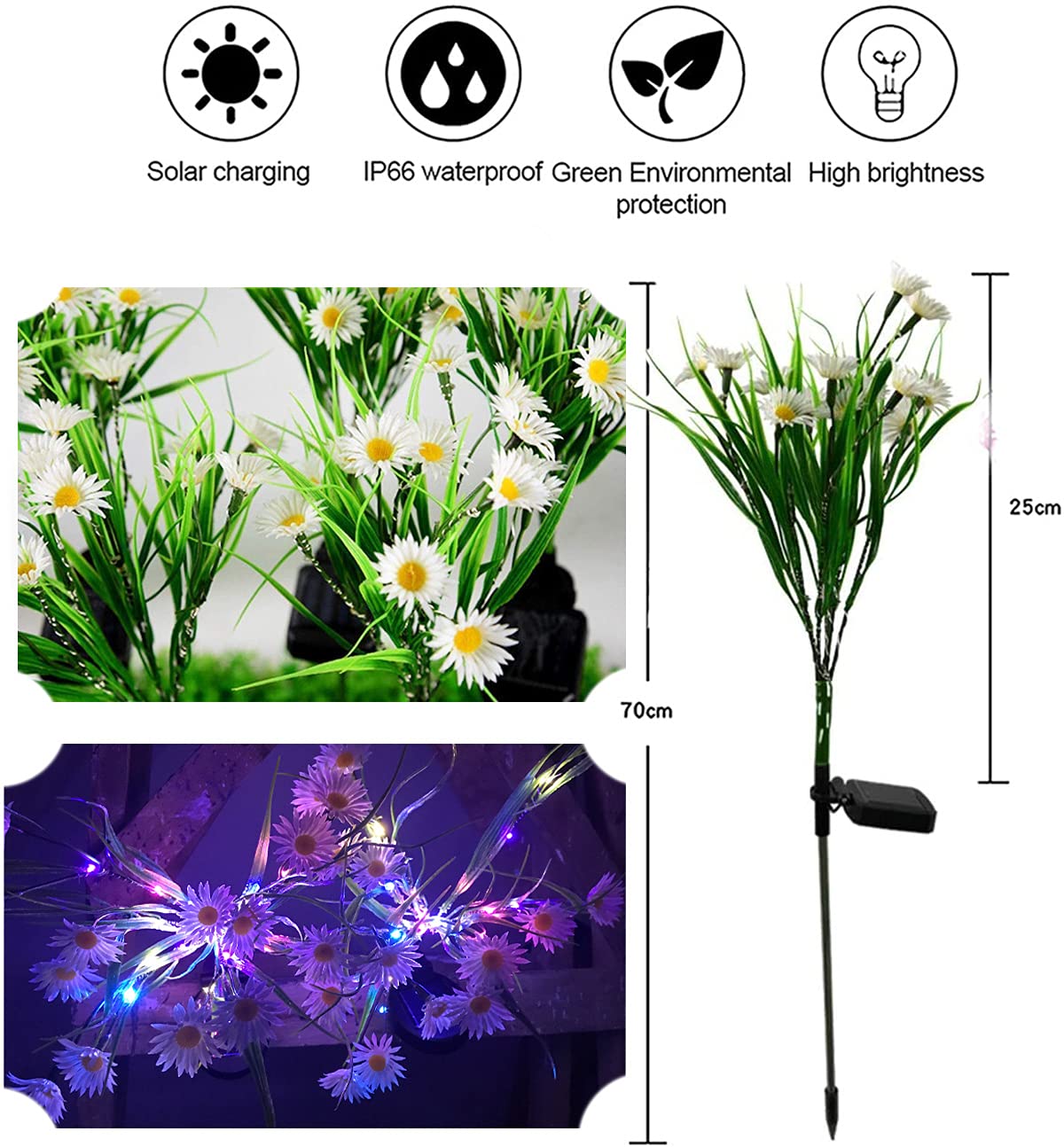 【超希少】Daisy Lights 版画 Greenwood1976 90/36 AMZSTAR Solar Daisy Flower Decorative Garden Stake Lights, 28 LED
