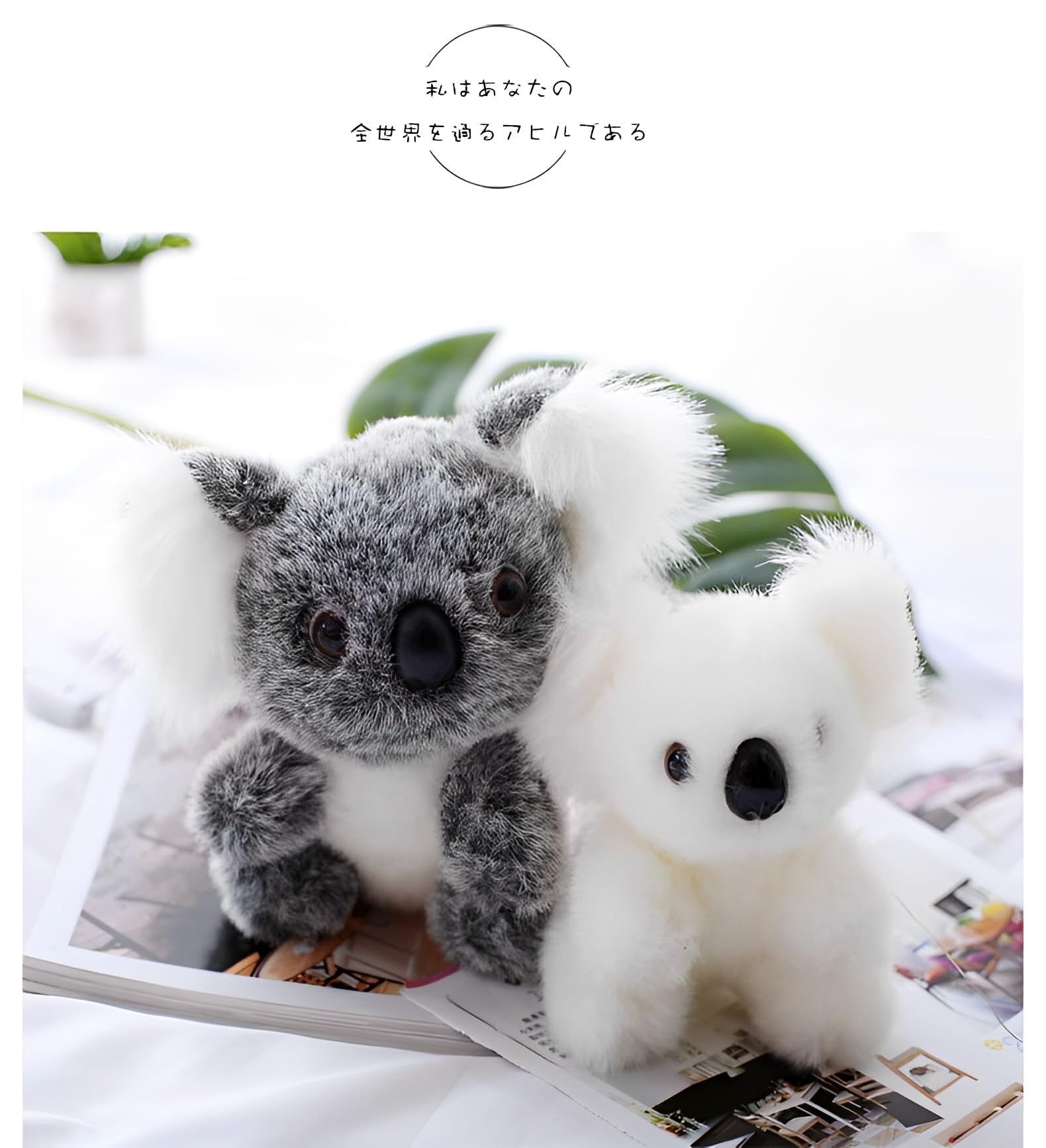 Amazon.co.jp: TOKUGAWAMIKAぬいぐるみ 超萌え カップルおもちゃ 熊