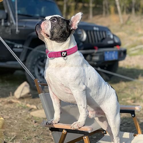 Miniatura 5 de azuza Collar reflectante para perro, collar acolchado de neopreno suave para mascotas con anillo de etiqueta de identificación, ajustable para