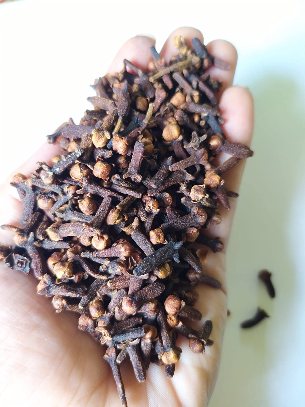 Lodh Bhander cloves whole premium laung natural Big Size A1 quality pure fresh লবঙ্গ No1 लौंग లవంగాలు கிராம்பு Dried લવિંગ,natural brown,100 g (Pack of 1)