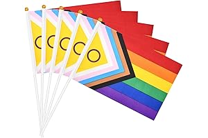 20 Pieces Pride Mini Flags
