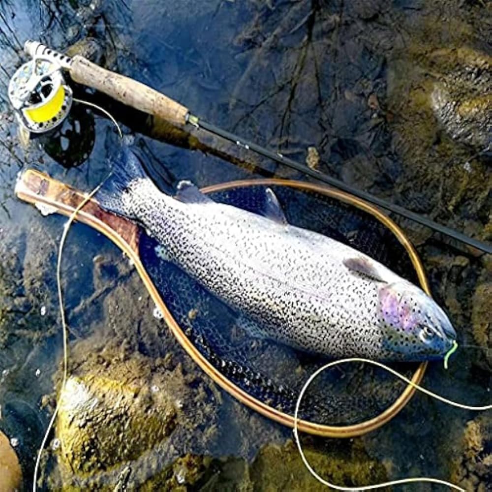 Amazon | 管釣り 魚を傷つけない 渓流釣り ネット ランディングネット