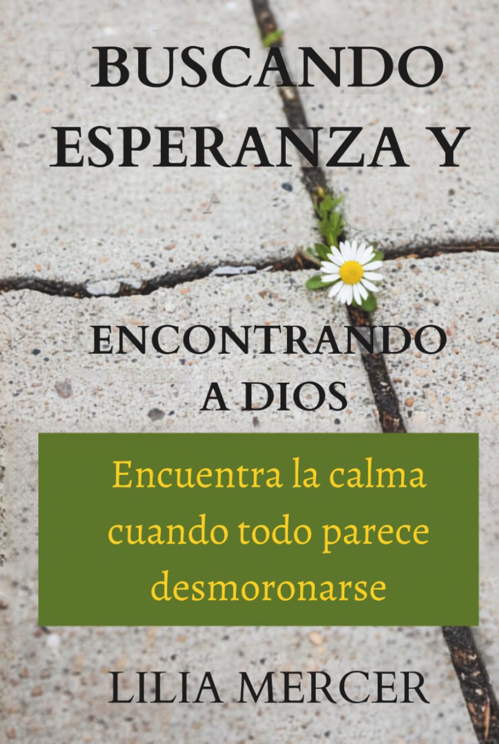 Buscando esperanza y encontrando a Dios: Encuentra la calma cuando todo parece desmoronarse