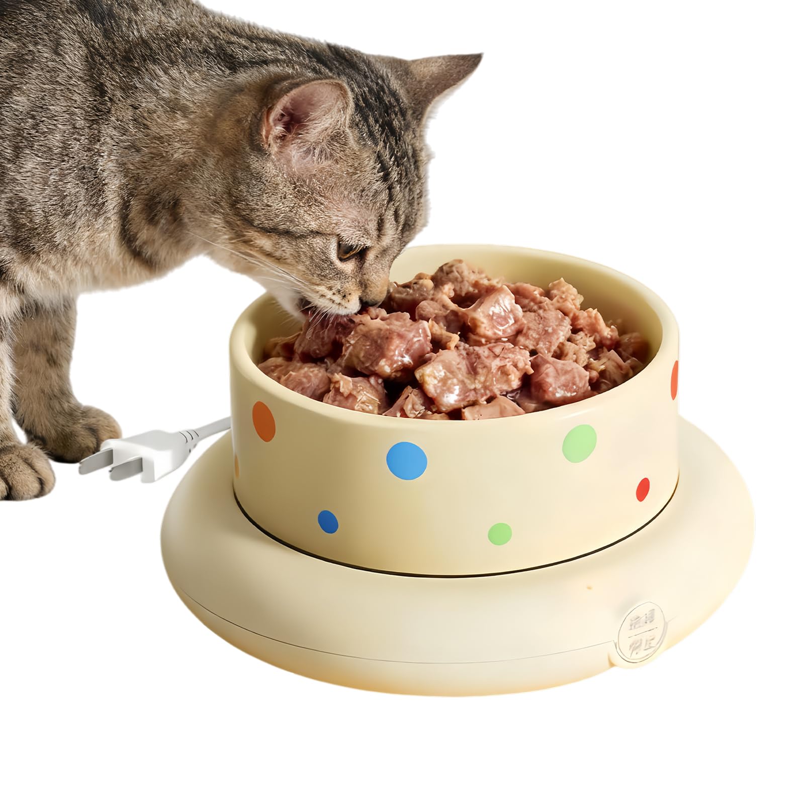 Chauffe-eau d'hiver thermique grande capacité pour chiens et chats